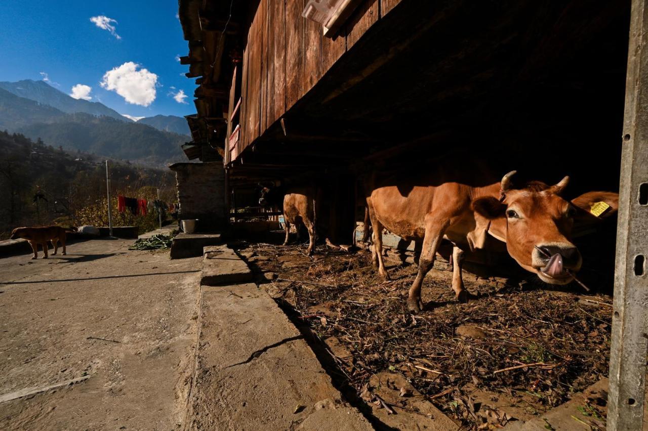 Hostel Zostel Dobhi, Manali Nagar  Exterior foto